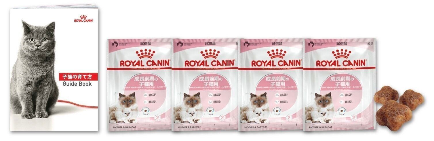 ねこ◎プロフ必読、更新(追記有り)様用個別オーダーページ② パネル生地 M3様用個別オーダーページ パネル生地 ねこ*いぬ*女の子*バッグ