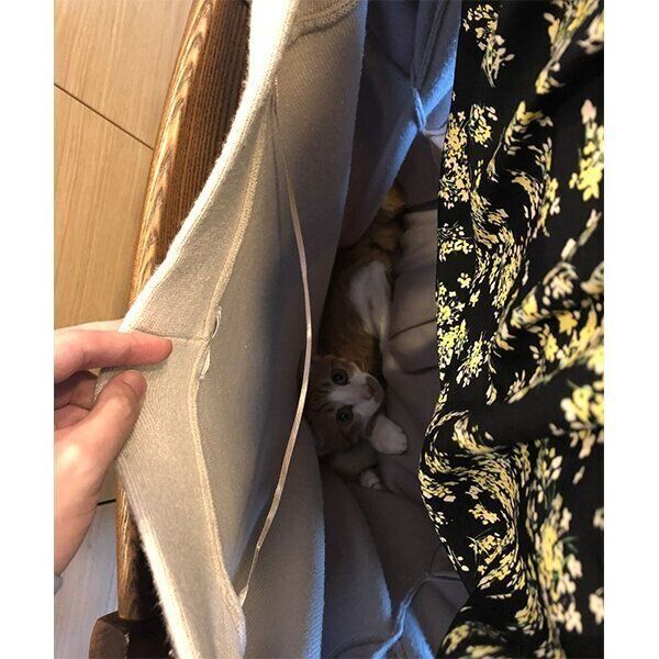 コートの中に入るぽむちゃん