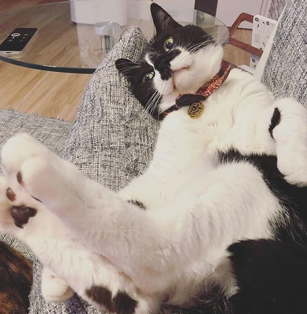 響介さんの公式Instagramより