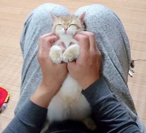 マッサージしてもらうカイくん