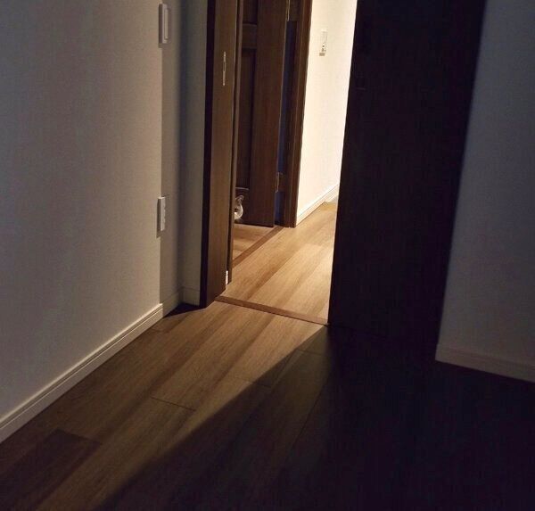 遠くから見つめてくるさかもとちゃん