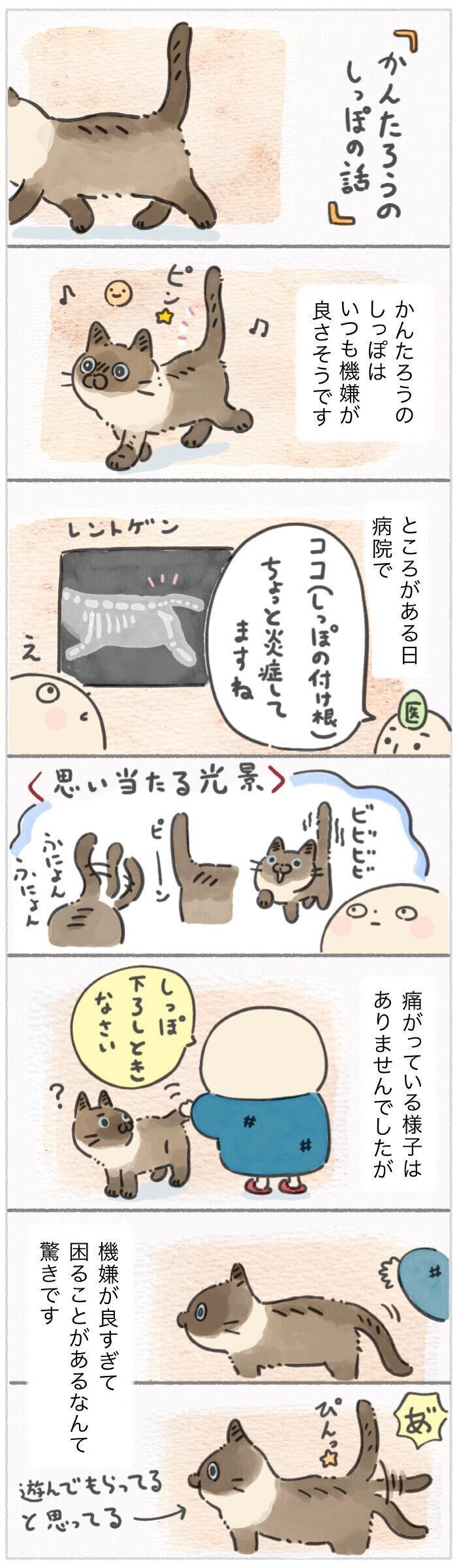 「ねこ連れ草」342話め