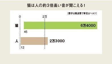 画像／2019年5月号「猫と音」