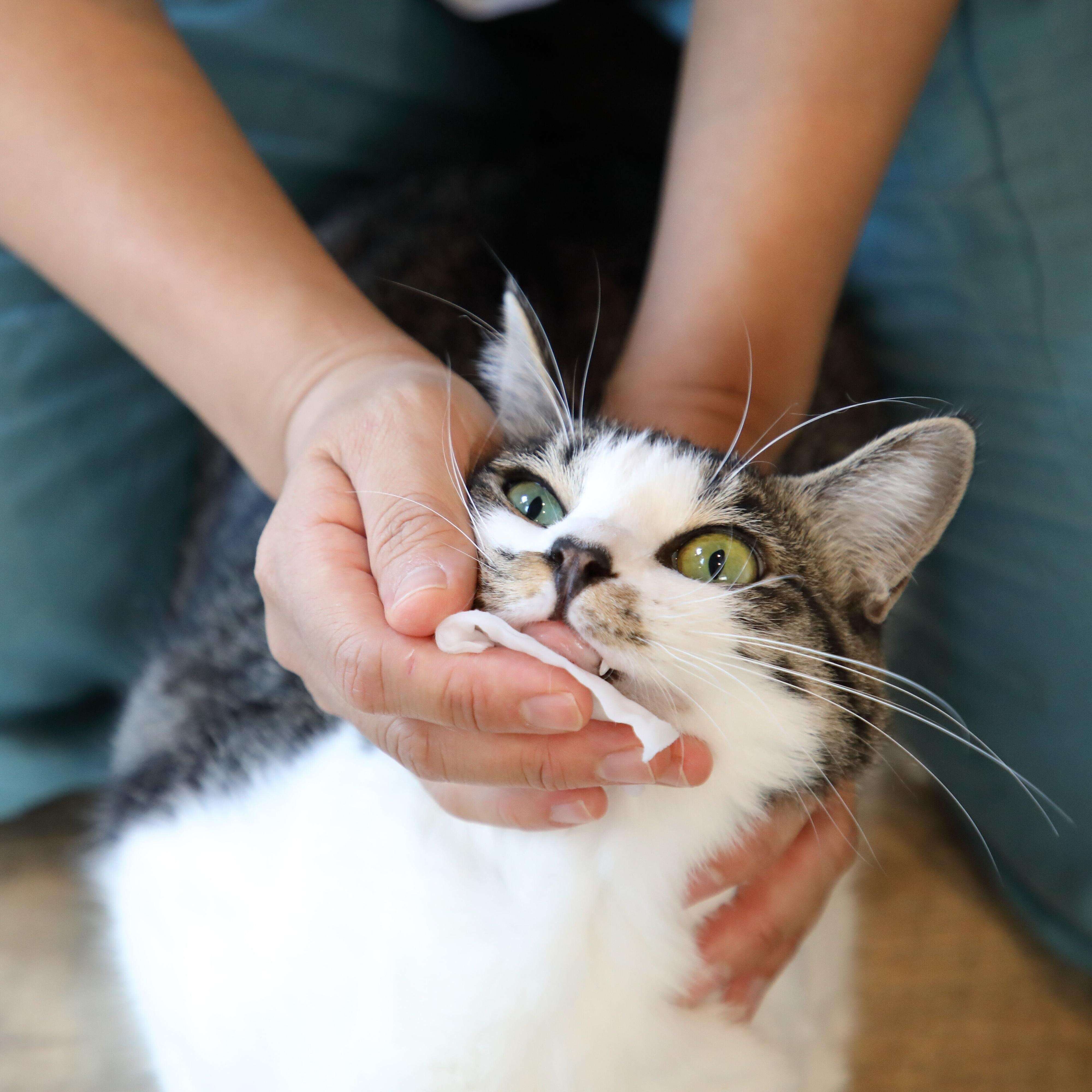 撮影／尾﨑たまき