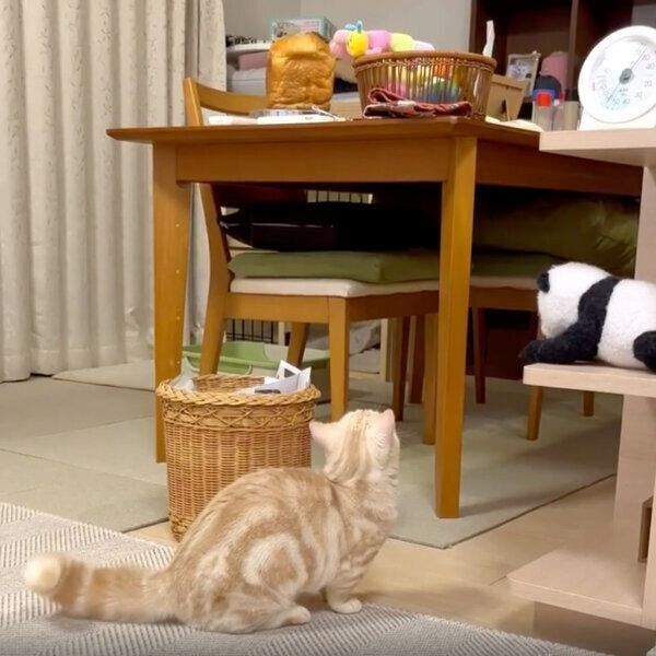 パンが気になるなつちゃん