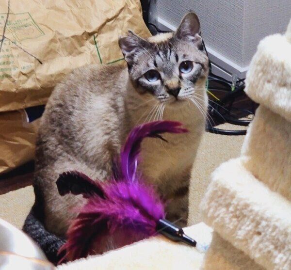 カメラを見つめる海空くん