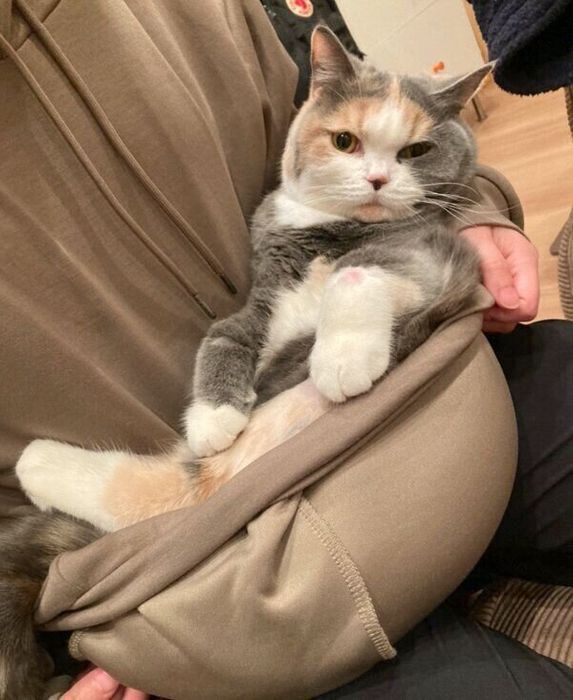 甘えるどらみちゃん
