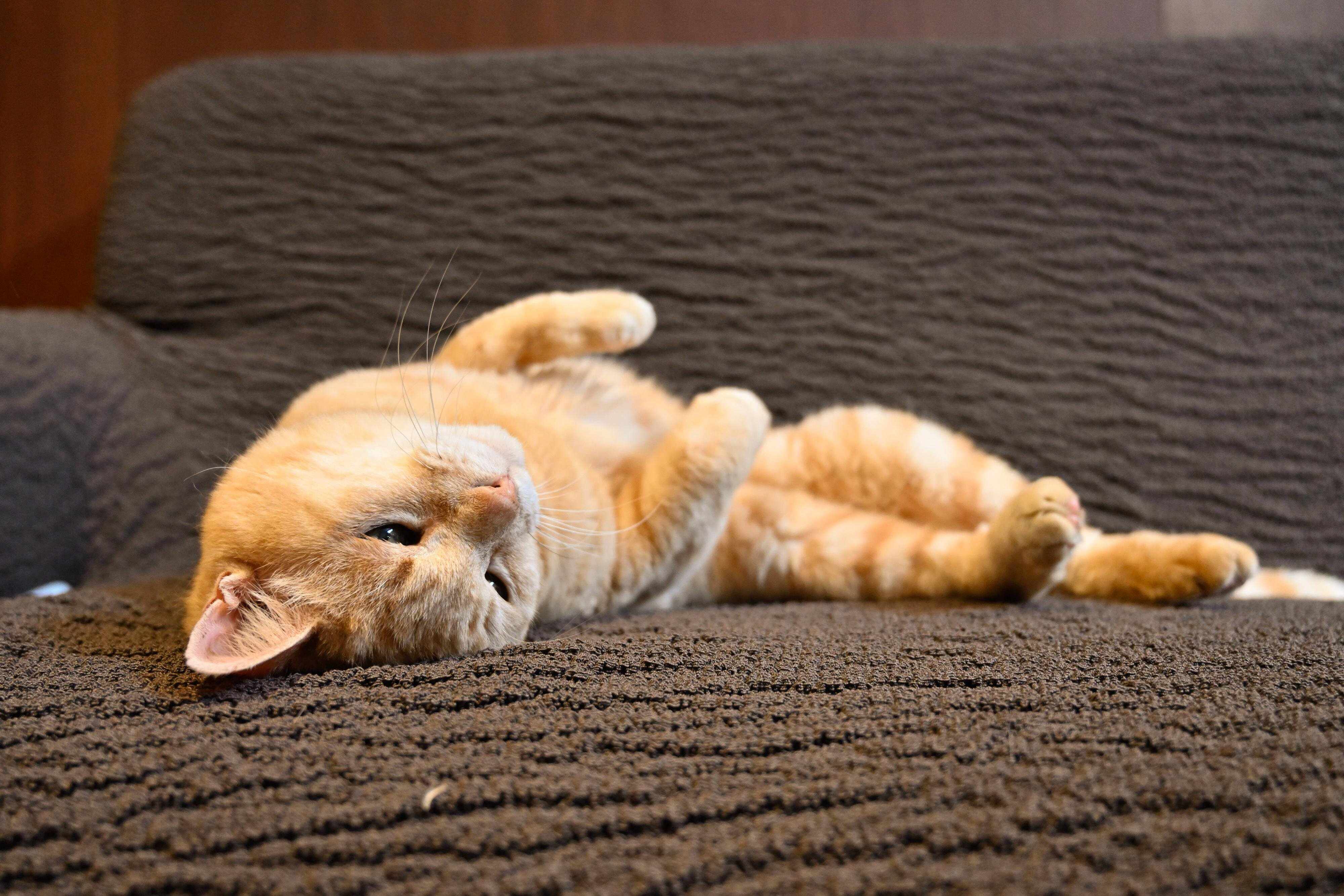 撮影／Akimasa Harada