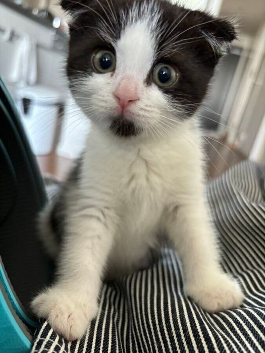 得意げな顔がかわいすぎるびびちゃん