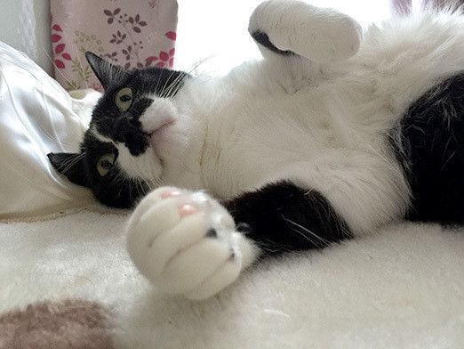 リュックのバランスボール爆破事件