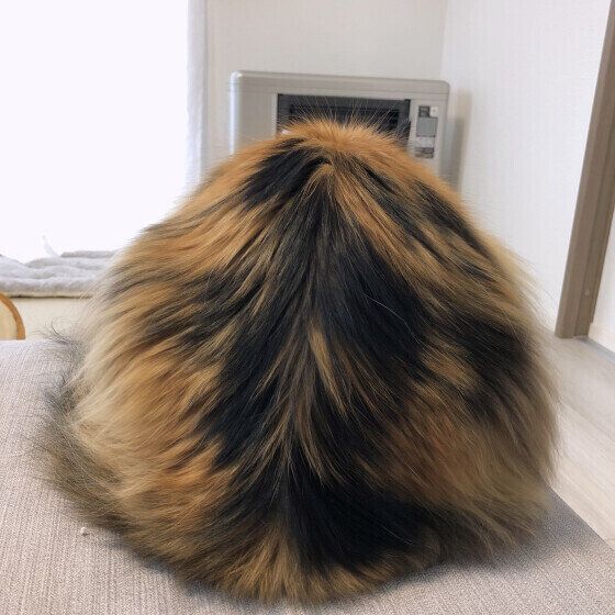 後ろ姿がかわいいめいちゃん