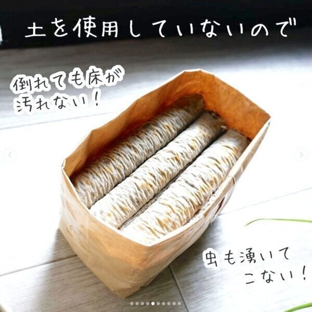 無印良品の土を使わない 猫草栽培セット ってどうなの 実際に使った猫飼いさんの感想を聞いた ねこのきもちweb Magazine 無印良品の土を使わない 猫草栽培セット ってどうなの 実際に使った猫飼いさんの感想を聞いた ねこのきもちweb Magazine