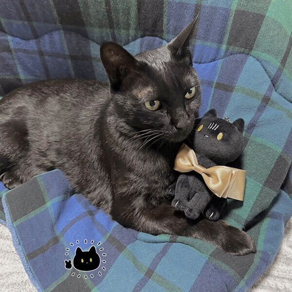 くつろぐろんさん