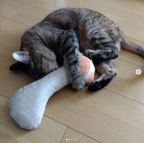 激しくけりぐるみを蹴るキールちゃん