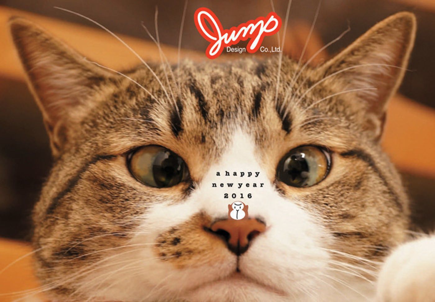 マネしたい 猫好きクリエイターのおしゃれな年賀状 ねこのきもちweb Magazine マネしたい 猫好きクリエイターのおしゃれな年賀状 ねこのきもちweb Magazine