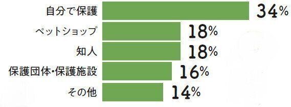 ねこのきもち2021年8月号「想像以上に身近な病気　寄生虫症の実態」