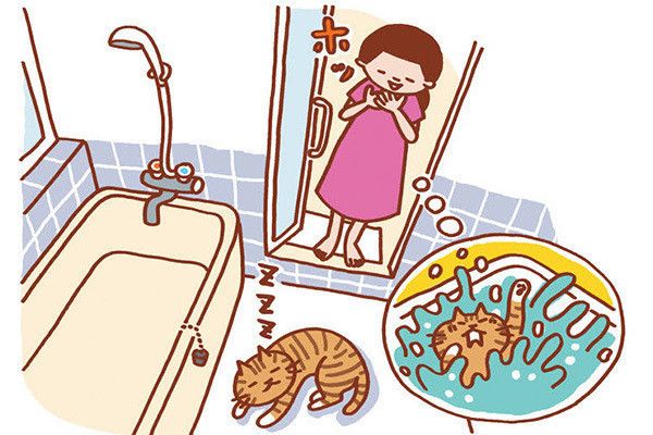 お風呂で寝ている猫