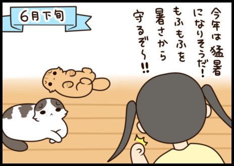 「もふもふスコたん」サムネイル