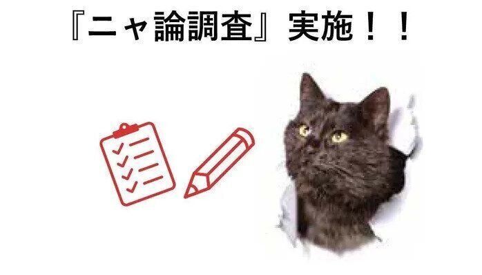 ニャ論調査