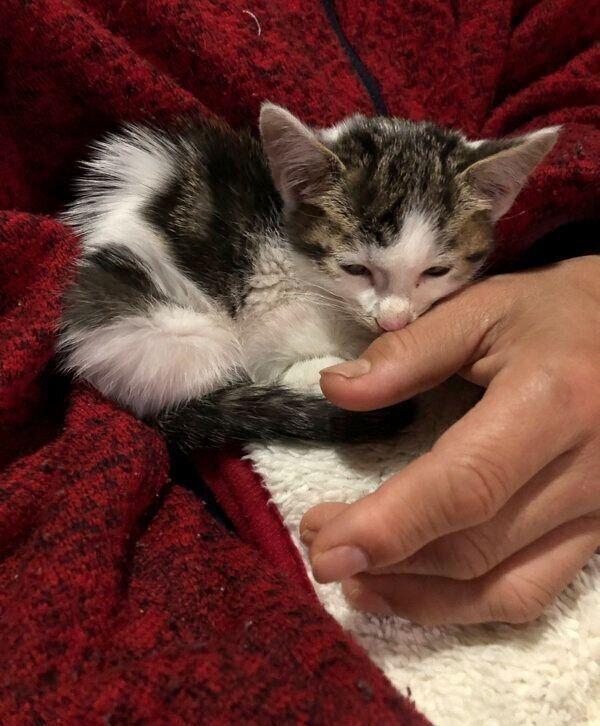 抱っこされるうしおくん