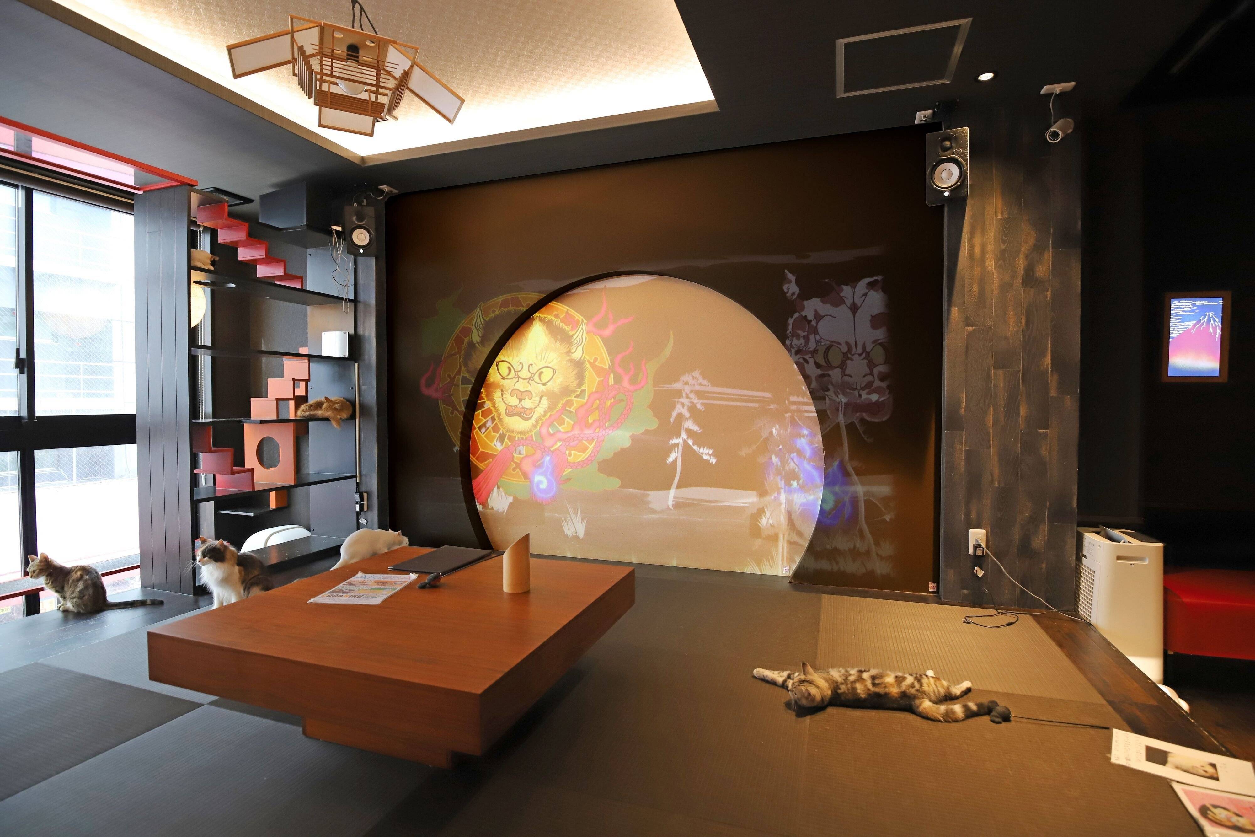 プロジェクションマッピングと落ち着いた雰囲気の和室