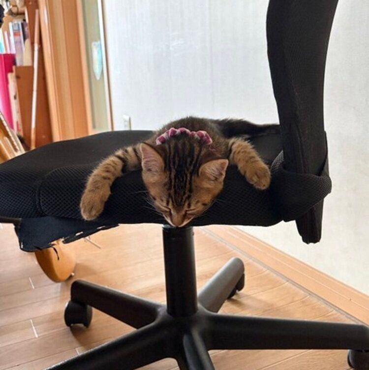 イスをベッドにして寝てしまったまおくん