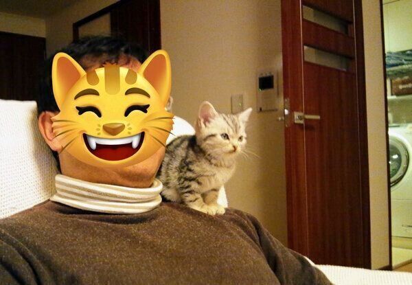 飼い主さんの肩に乗るベルちゃん