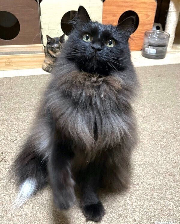 見つめるノアくん