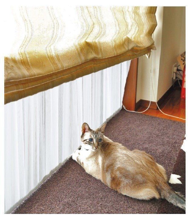 撮影／尾﨑たまき