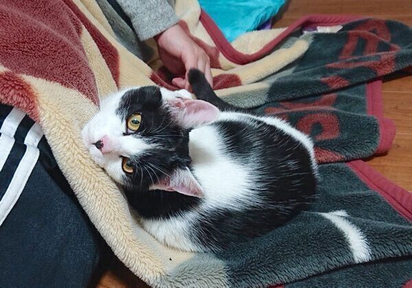 くつろぐむすびくん