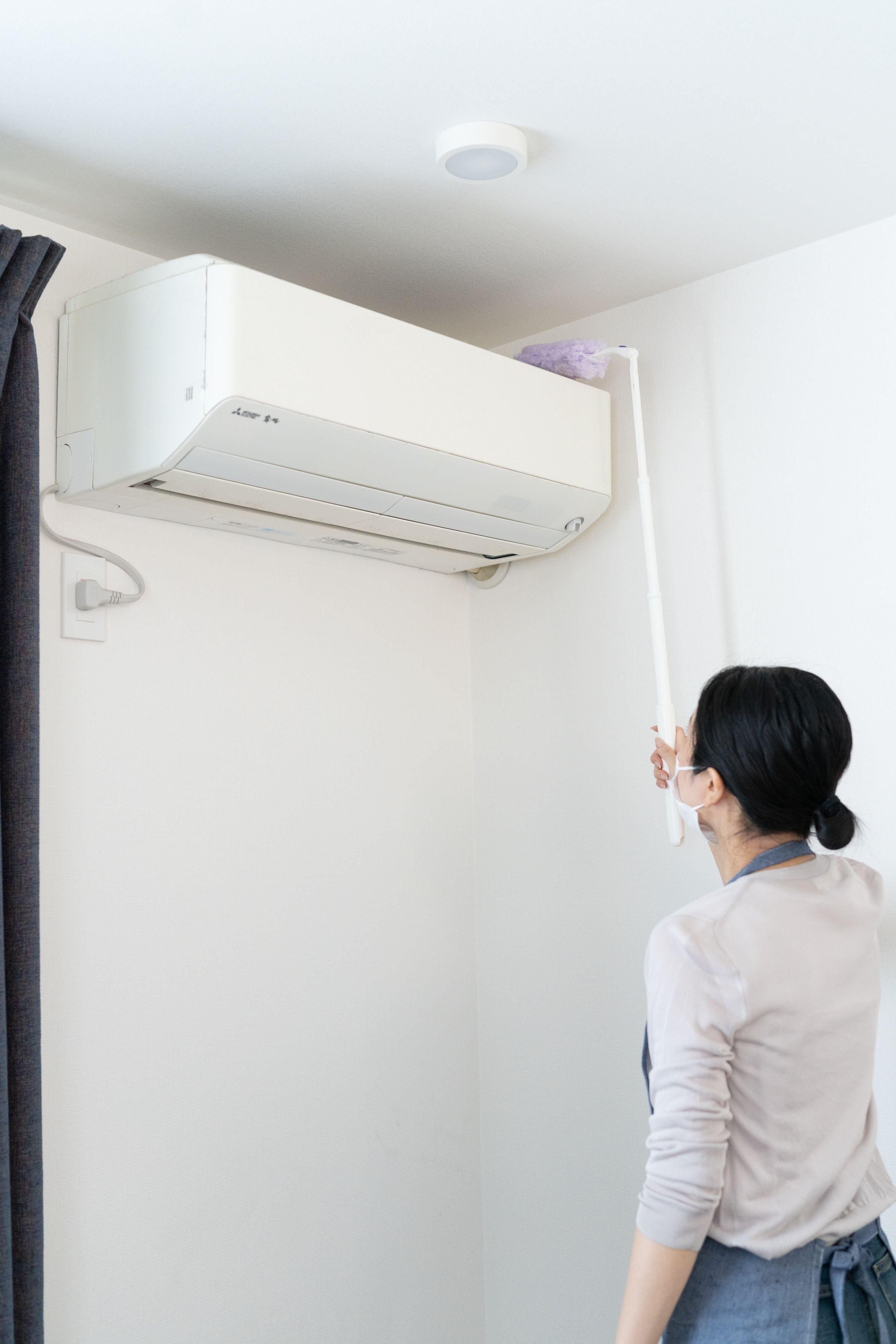 撮影／石原さくら