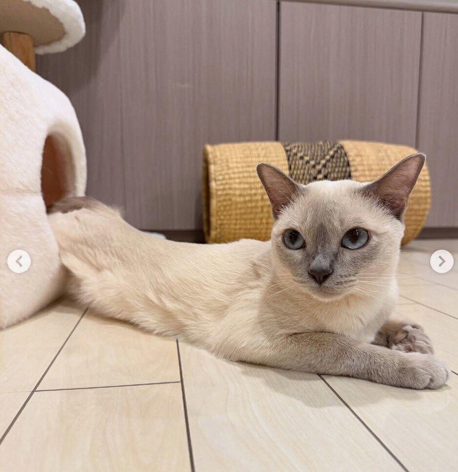 ベッドからニョロッと出るマハロくん