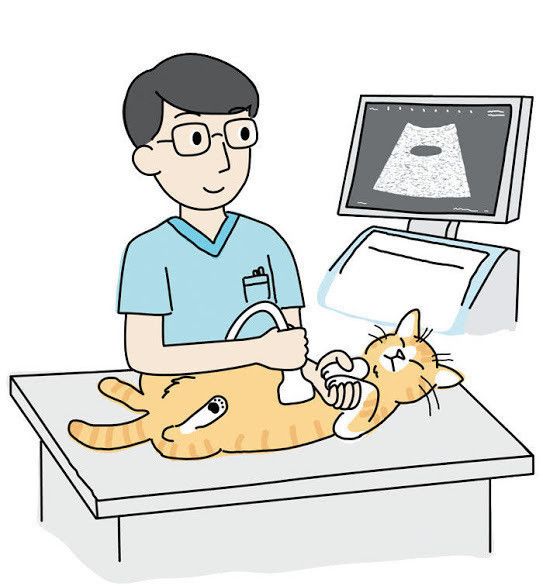 イラスト／chizuru