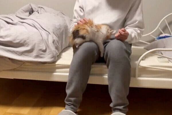 飼い主さんに甘えるうなぎちゃん