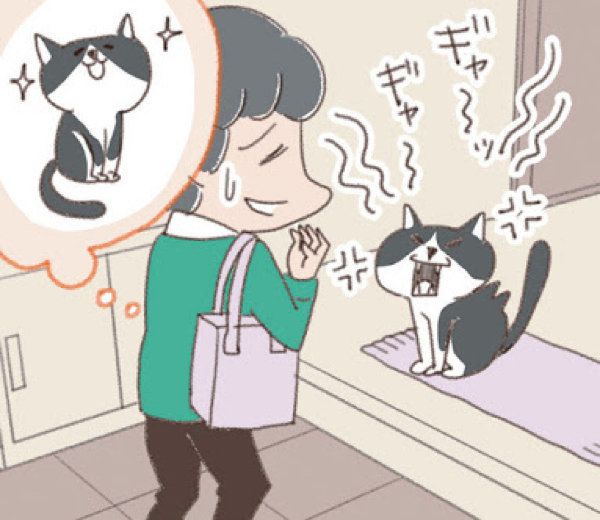 猫との暮らし　理想と現実