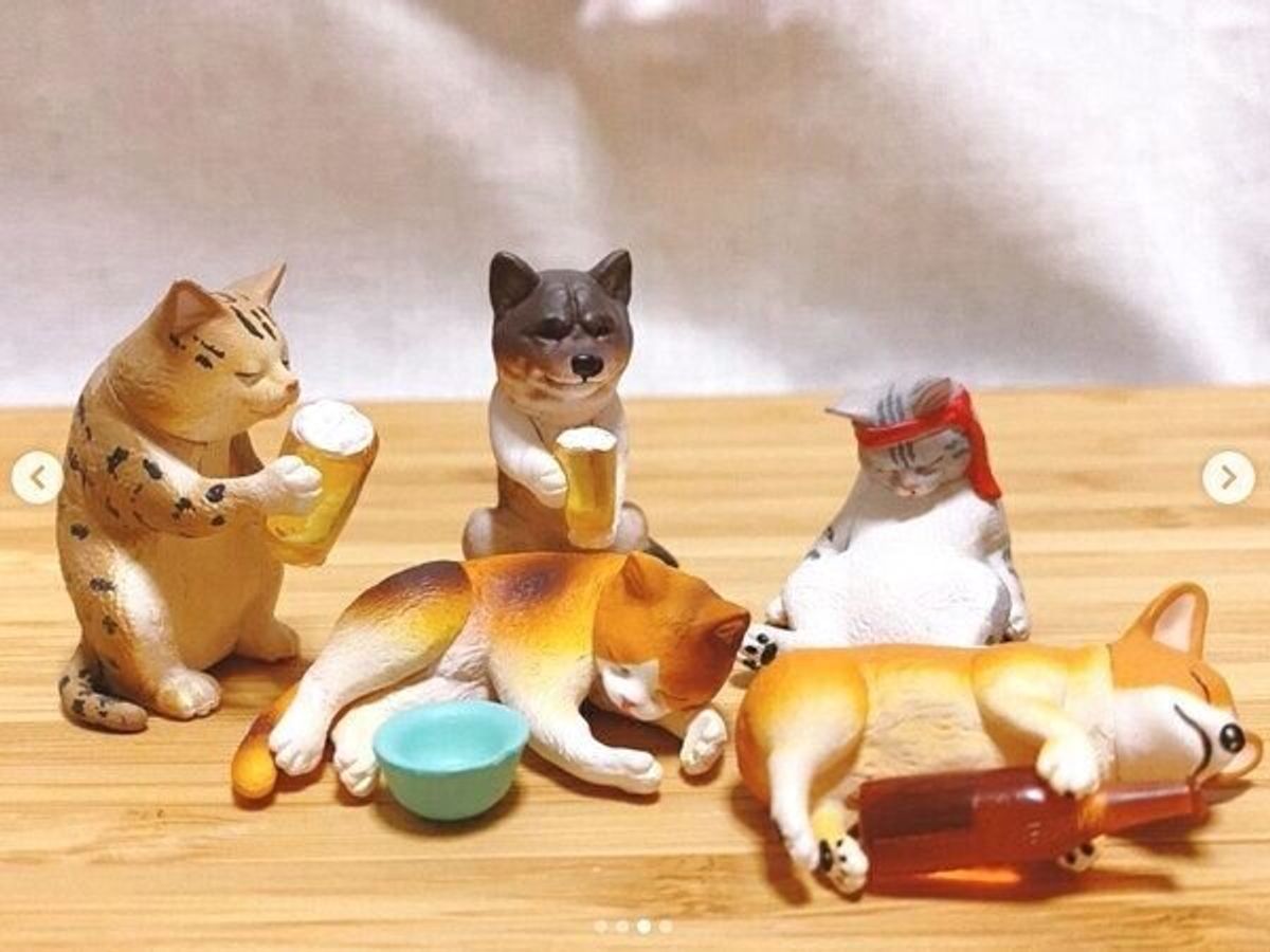 いつかまた みんなでお酒を楽しく飲める日までは カプセルトイ アフター5の動物たち で癒されよう ねこのきもちweb Magazine いつかまた みんなでお酒を楽しく飲める日までは カプセルトイ アフター5の動物たち で癒されよう ねこのきもちweb Magazine