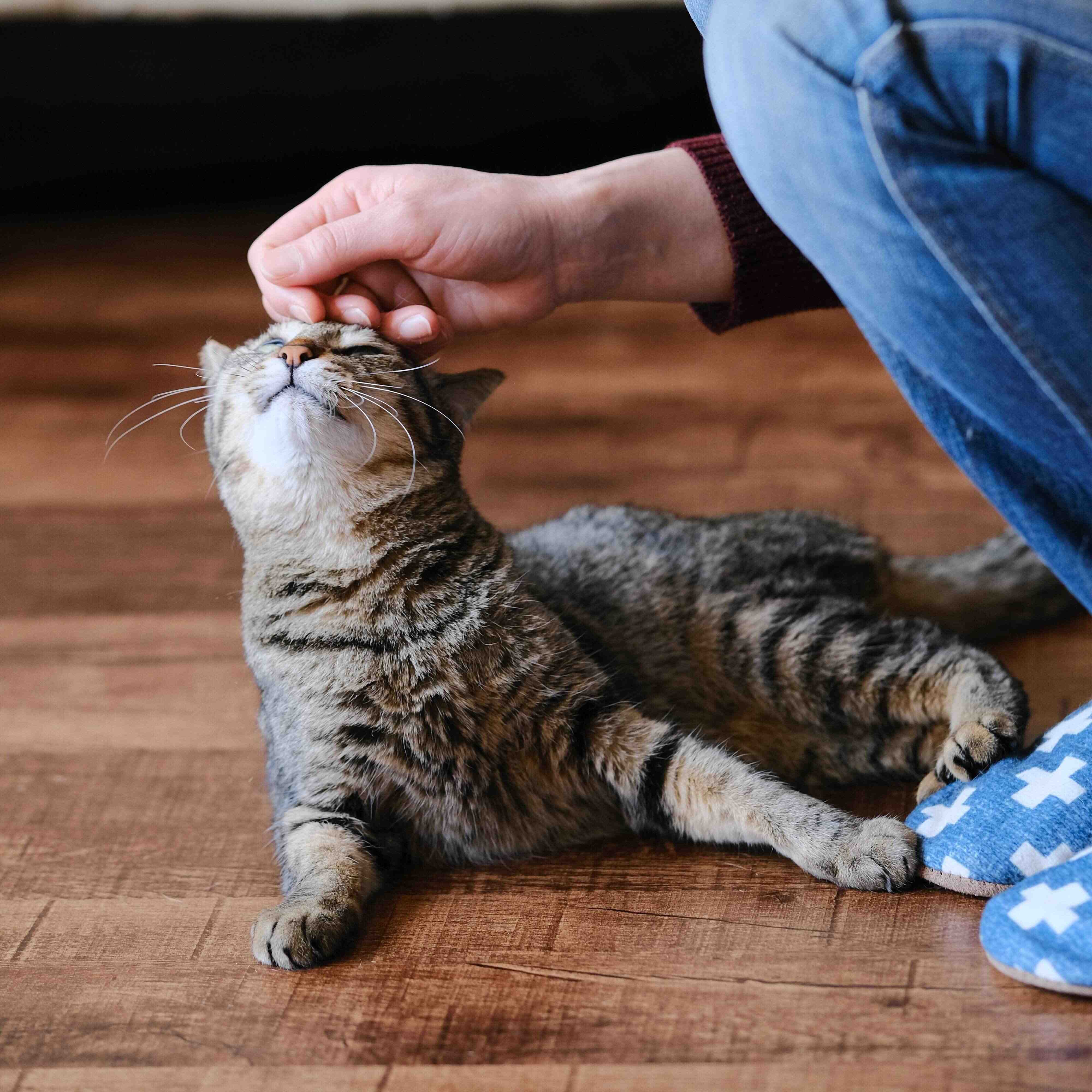 撮影／Akimasa Harada