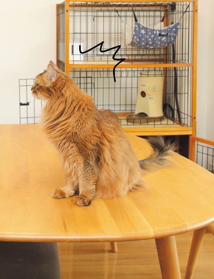 撮影／尾﨑たまき