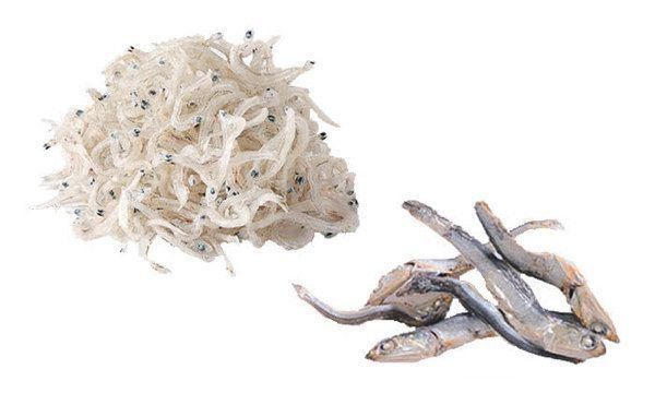 しらすとにぼし