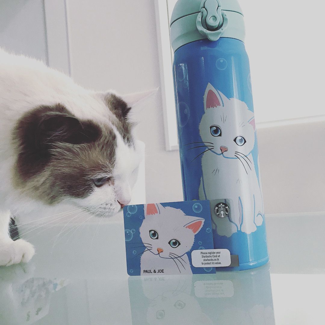 スタバコラボのボトルマグとスタバカード
