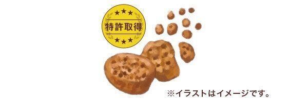 キャンペーンに応募する