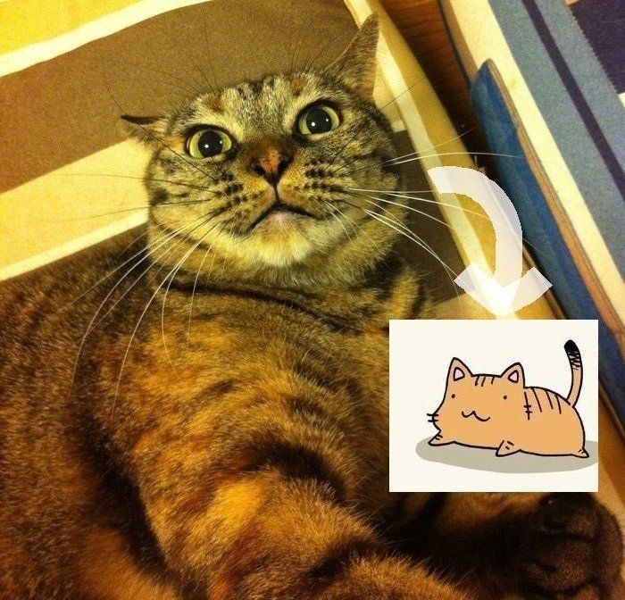 c8fab86c-502b-48b7-b940-