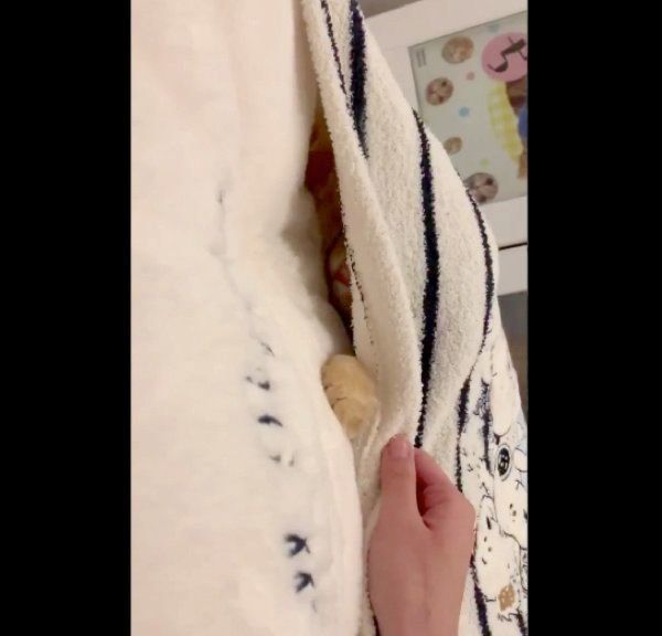 寝袋の中に入るちくわちゃん