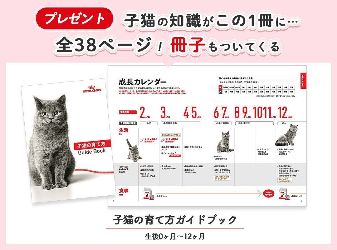 イメージ5