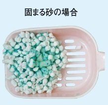 画像／2017年５月号「大切なことはオシッコが教えてくれる」