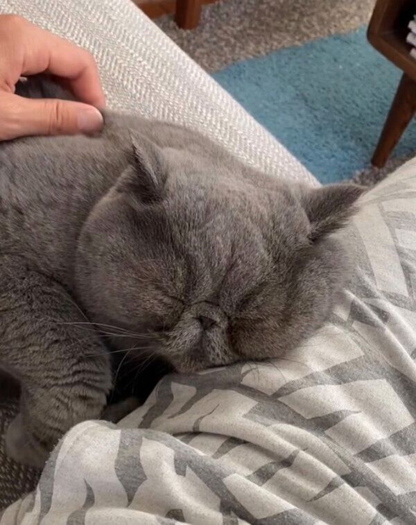 パパさんに甘えるポッケくん