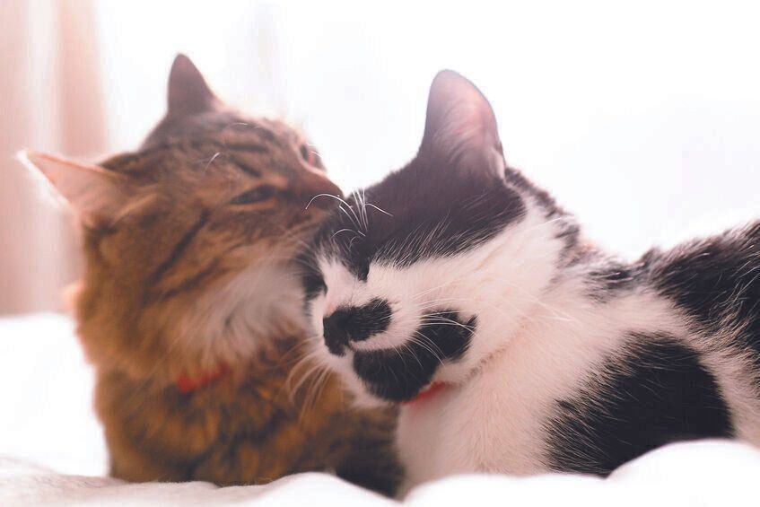 写真／ストックフォト