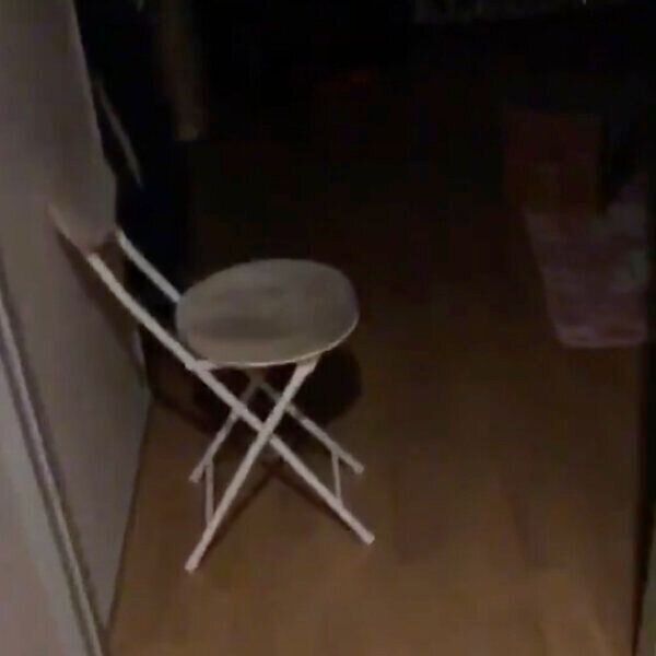 ニャジラくんの「なでて」を無視して部屋に