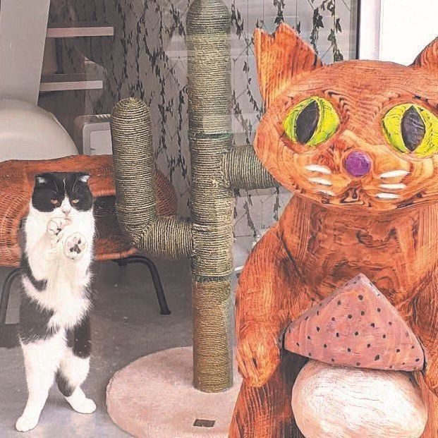 写真提供／猫の屋　おでん