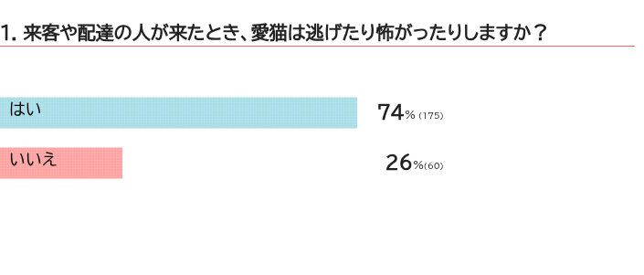 愛猫は来客を警戒しますか？